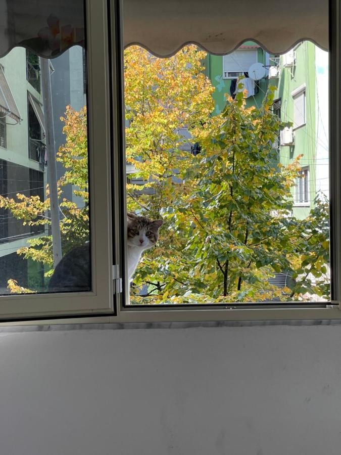 Rita's Apartment